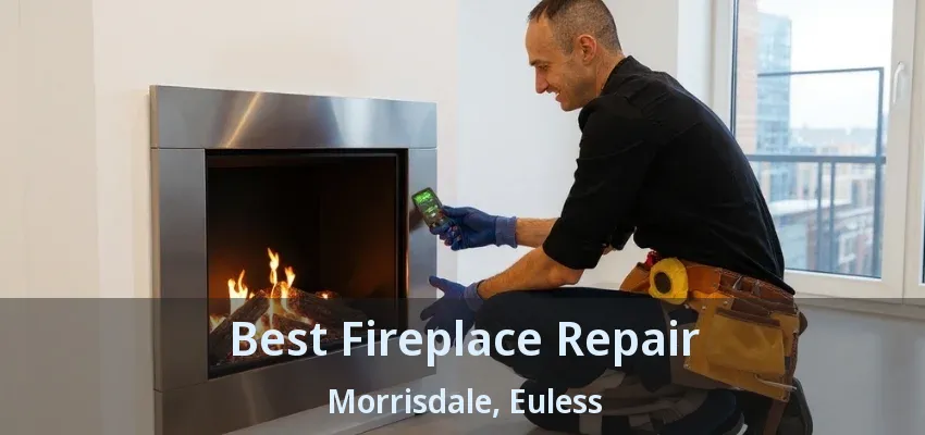 Best Fireplace Repair Morrisdale, Euless - TX