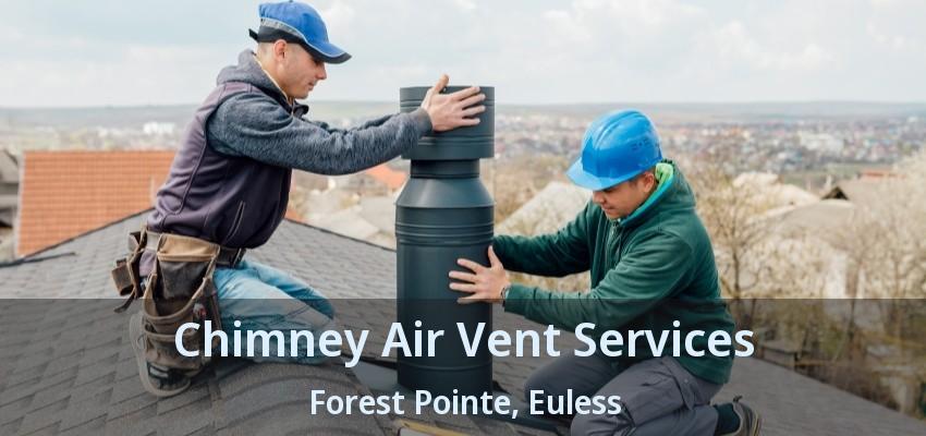 Chimney Air Vent Services Forest Pointe, Euless - TX