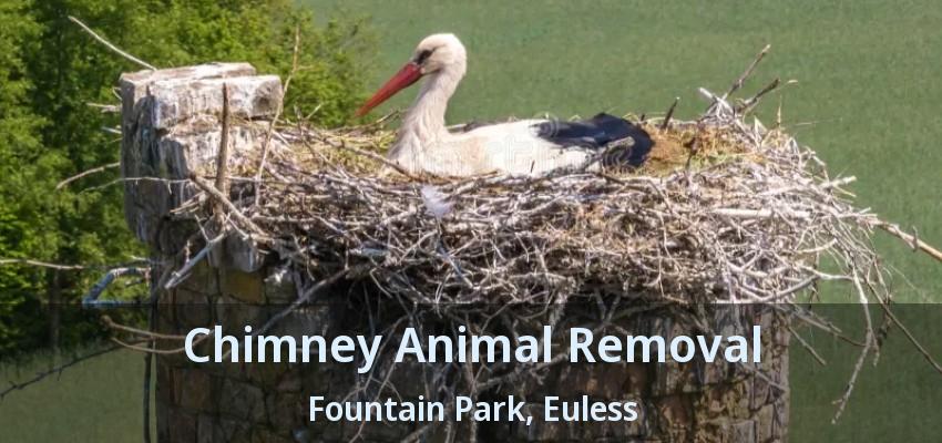 Chimney Animal Removal Fountain Park, Euless - TX