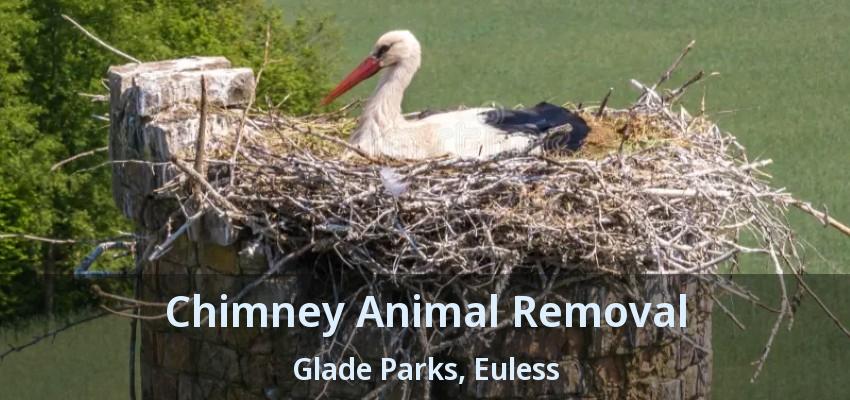 Chimney Animal Removal Glade Parks, Euless - TX