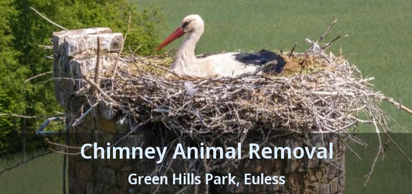 Chimney Animal Removal Green Hills Park, Euless - TX