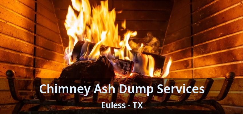 Chimney Ash Dump Services Euless - TX