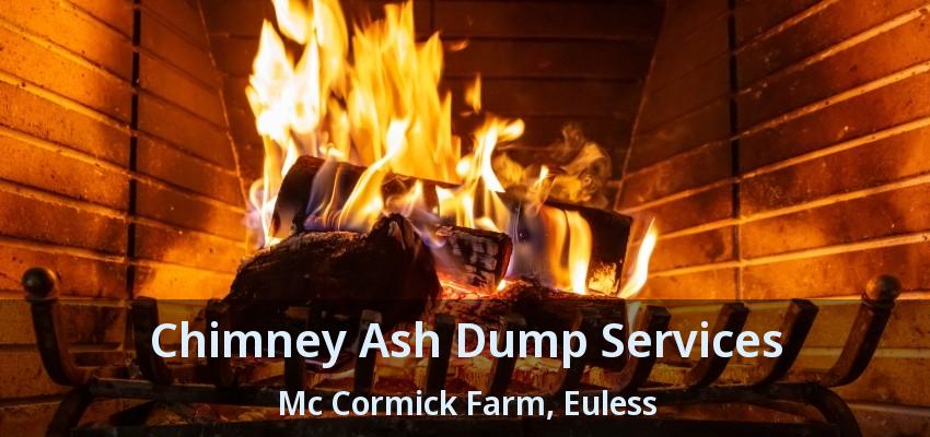 Chimney Ash Dump Services Mc Cormick Farm, Euless - TX