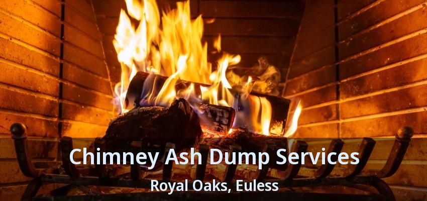 Chimney Ash Dump Services Royal Oaks, Euless - TX