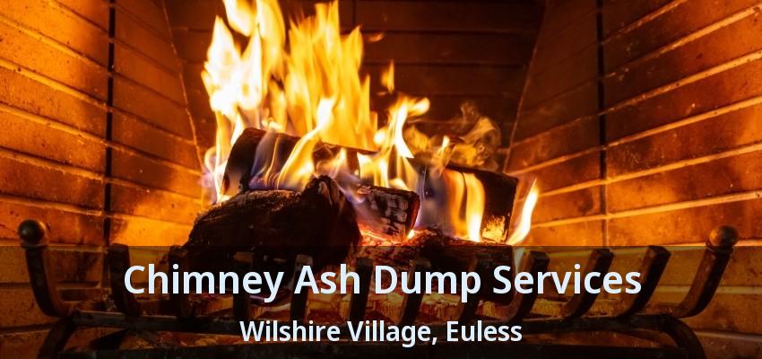 Chimney Ash Dump Services Wilshire Village, Euless - TX