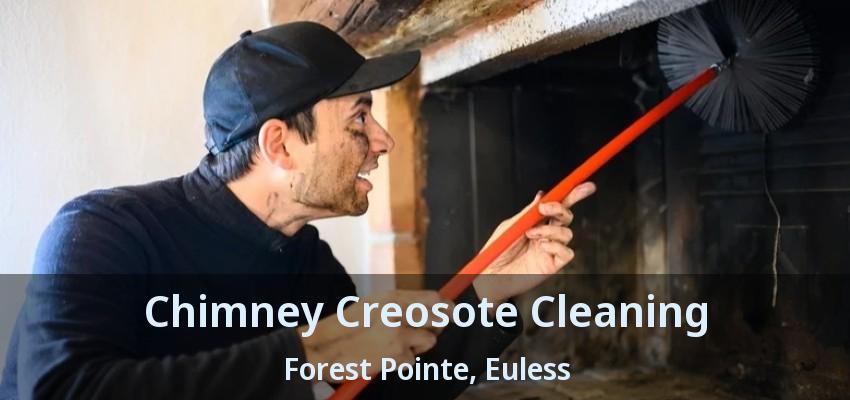 Chimney Creosote Cleaning Forest Pointe, Euless - TX