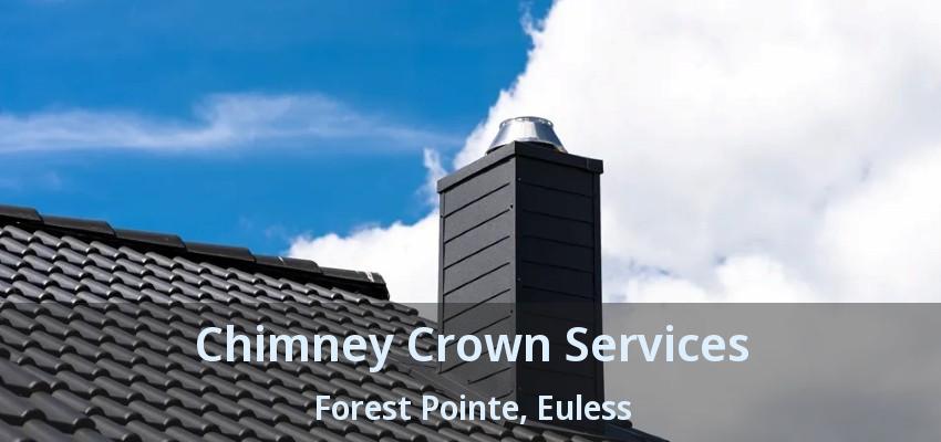 Chimney Crown Services Forest Pointe, Euless - TX