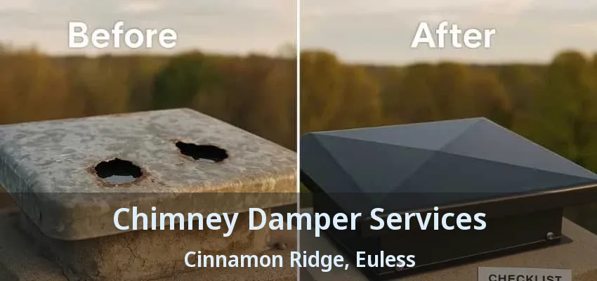 Chimney Damper Services Cinnamon Ridge, Euless - TX