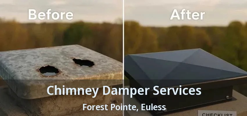 Chimney Damper Services Forest Pointe, Euless - TX