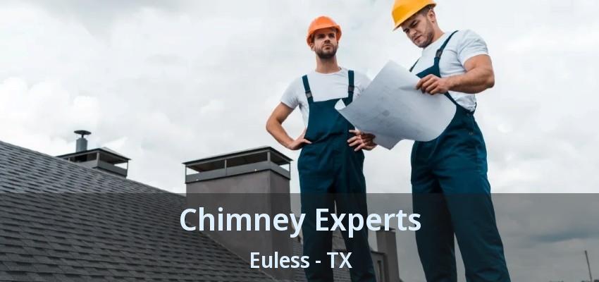 Chimney Experts Euless - TX