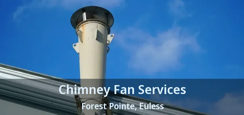 Chimney Fan Services Forest Pointe, Euless - TX