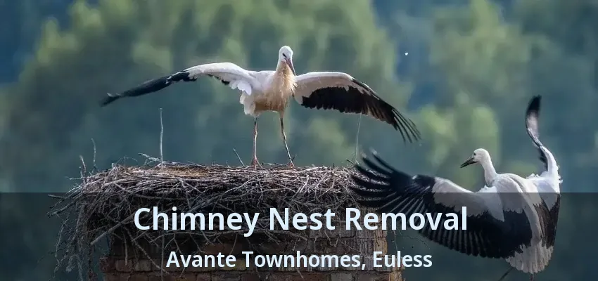 Chimney Nest Removal Avante Townhomes, Euless - TX