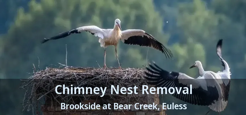 Chimney Nest Removal Brookside at Bear Creek, Euless - TX