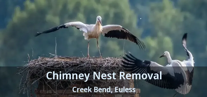 Chimney Nest Removal Creek Bend, Euless - TX