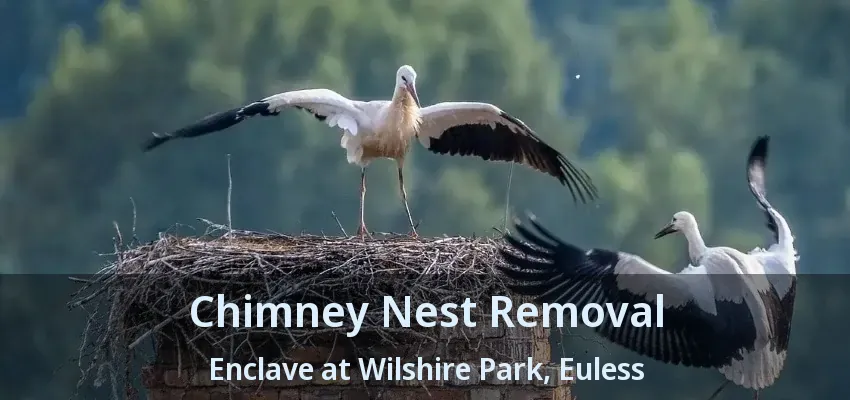 Chimney Nest Removal Enclave at Wilshire Park, Euless - TX