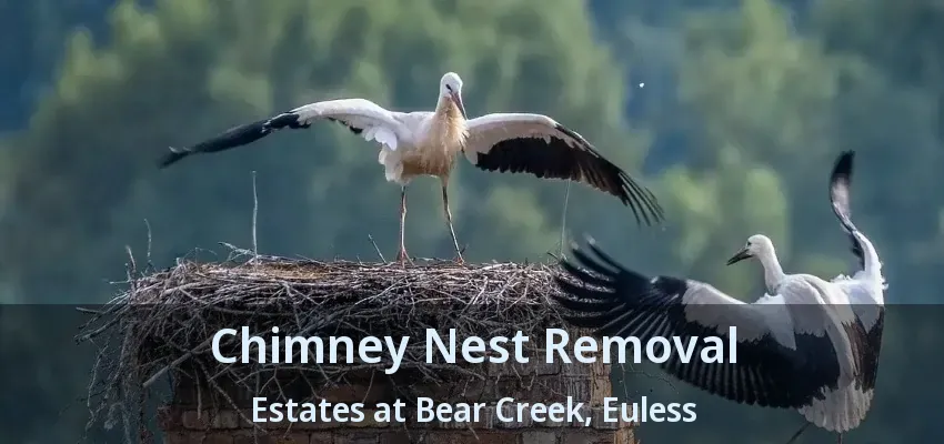 Chimney Nest Removal Estates at Bear Creek, Euless - TX