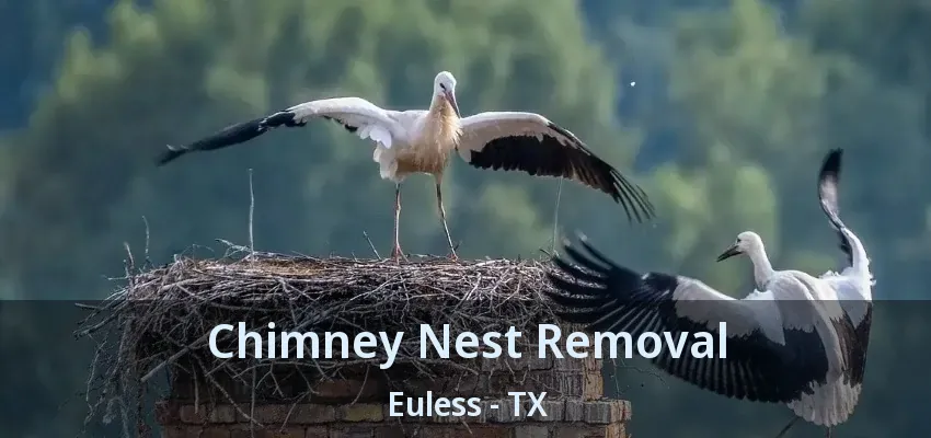 Chimney Nest Removal Euless - TX