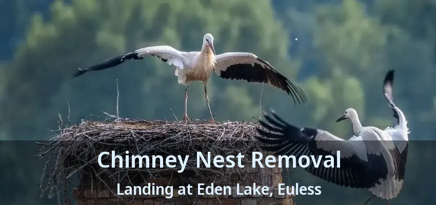 Chimney Nest Removal Landing at Eden Lake, Euless - TX