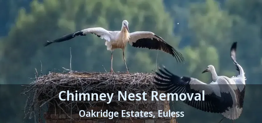 Chimney Nest Removal Oakridge Estates, Euless - TX