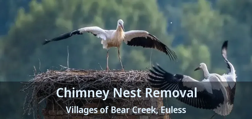 Chimney Nest Removal Villages of Bear Creek, Euless - TX