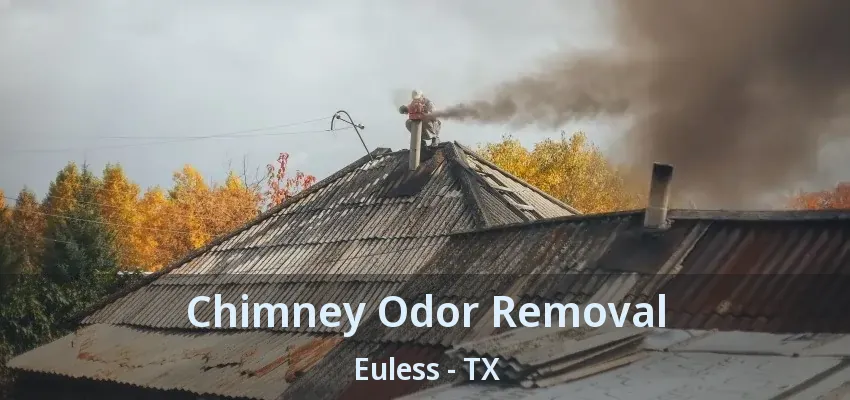 Chimney Odor Removal Euless - TX