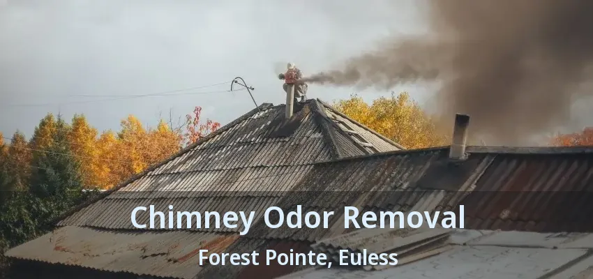 Chimney Odor Removal Forest Pointe, Euless - TX