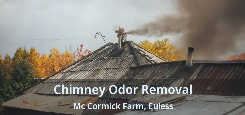Chimney Odor Removal Mc Cormick Farm, Euless - TX