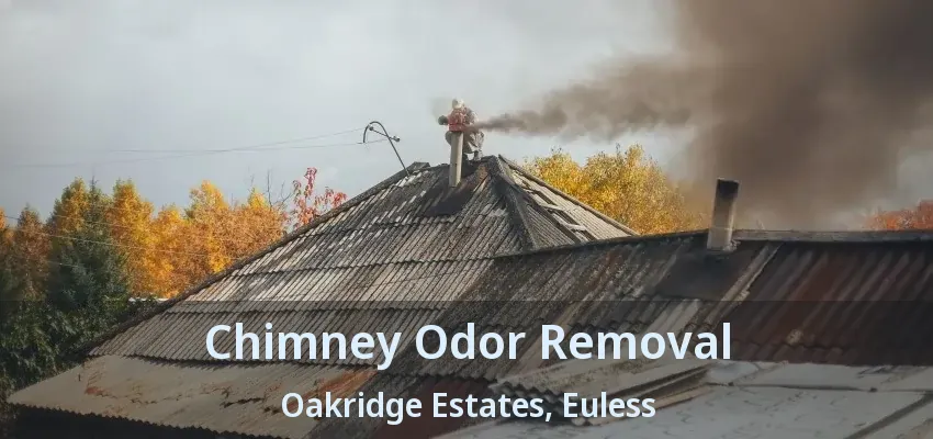 Chimney Odor Removal Oakridge Estates, Euless - TX