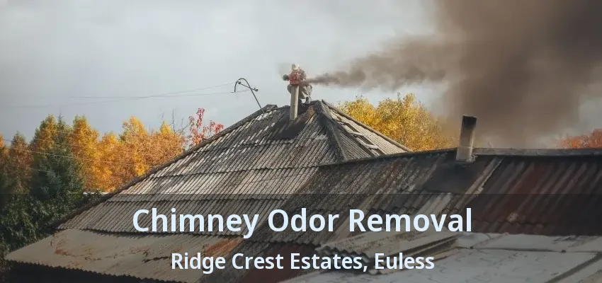 Chimney Odor Removal Ridge Crest Estates, Euless - TX