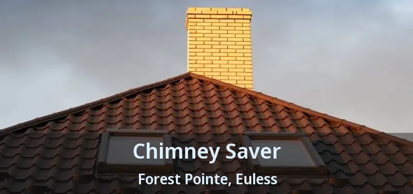 Chimney Saver Forest Pointe, Euless - TX