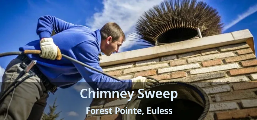 Chimney Sweep Forest Pointe, Euless - TX