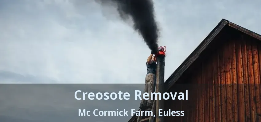 Creosote Removal Mc Cormick Farm, Euless - TX