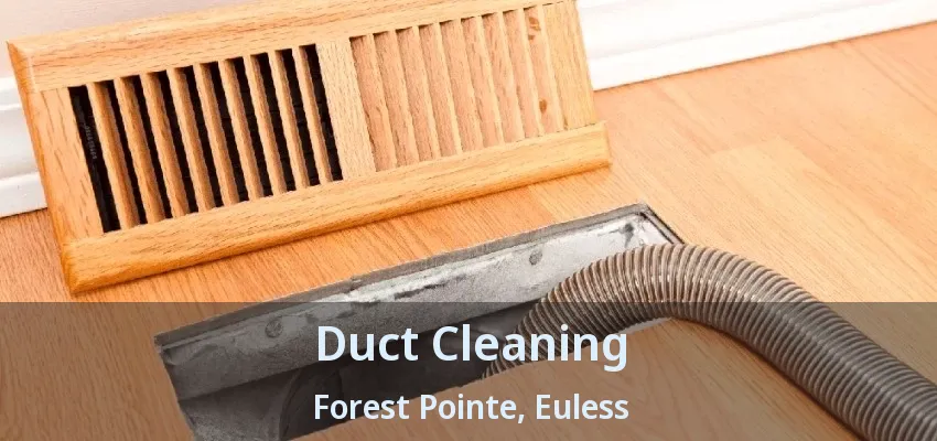 Duct Cleaning Forest Pointe, Euless - TX