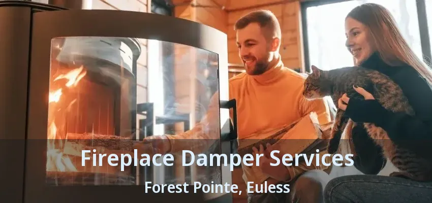 Fireplace Damper Services Forest Pointe, Euless - TX