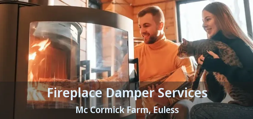 Fireplace Damper Services Mc Cormick Farm, Euless - TX