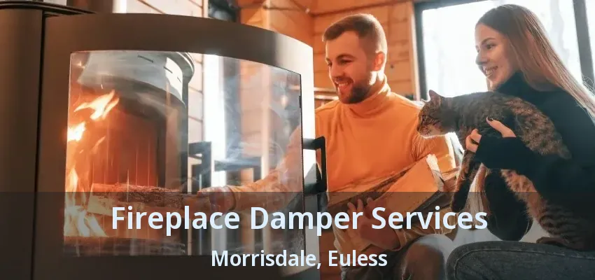 Fireplace Damper Services Morrisdale, Euless - TX