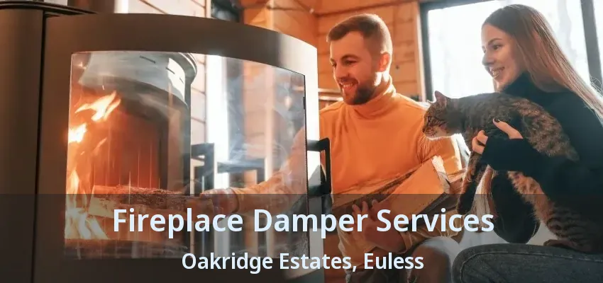 Fireplace Damper Services Oakridge Estates, Euless - TX