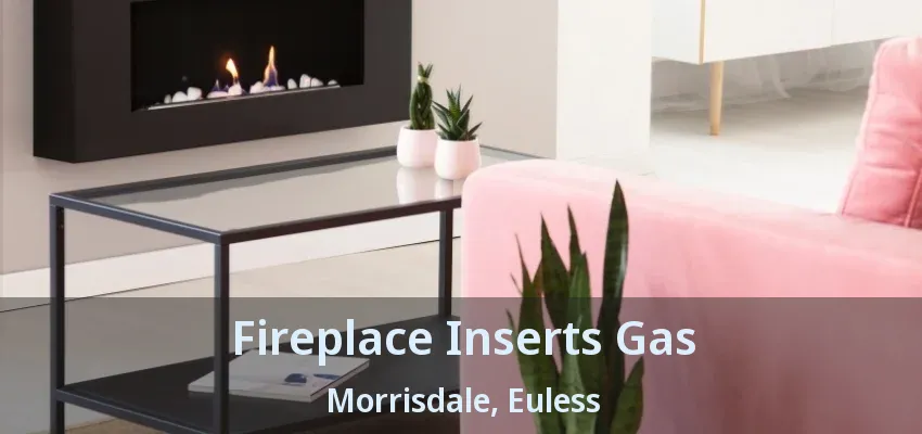 Fireplace Inserts Gas Morrisdale, Euless - TX