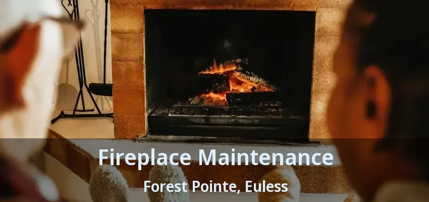Fireplace Maintenance Forest Pointe, Euless - TX
