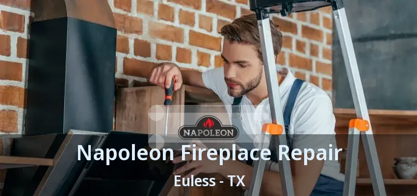 Napoleon Fireplace Repair Euless - TX