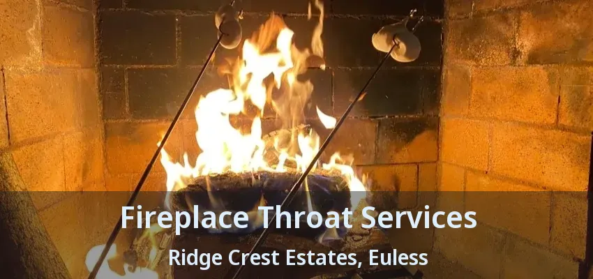 Fireplace Throat Services Ridge Crest Estates, Euless - TX