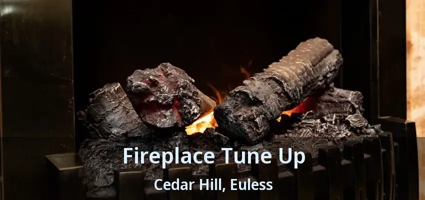 Fireplace Tune Up Cedar Hill, Euless - TX