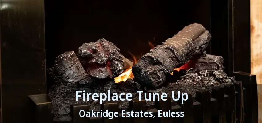 Fireplace Tune Up Oakridge Estates, Euless - TX