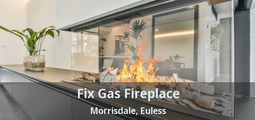Fix Gas Fireplace Morrisdale, Euless - TX