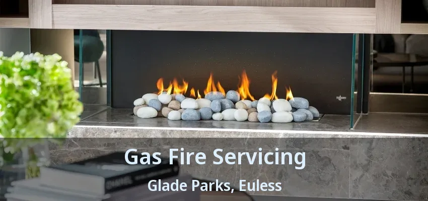 Gas Fire Servicing Glade Parks, Euless - TX