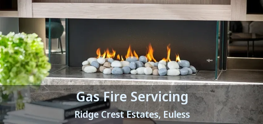 Gas Fire Servicing Ridge Crest Estates, Euless - TX