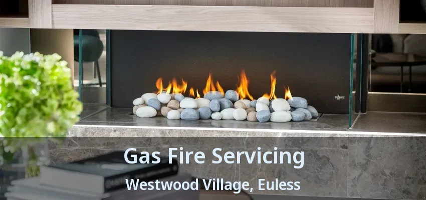 Gas Fire Servicing Westwood Village, Euless - TX