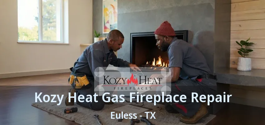 Kozy Heat Gas Fireplace Repair Euless - TX