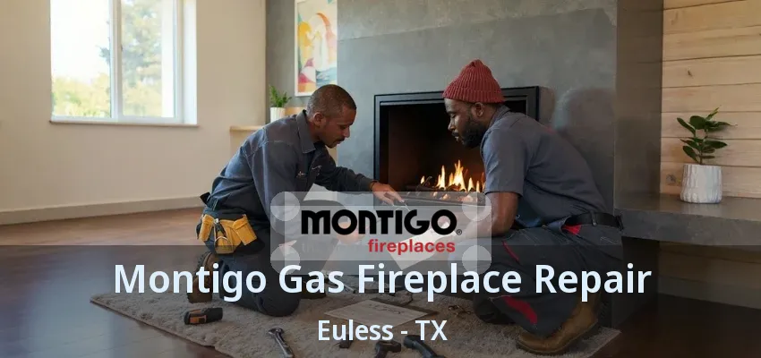 Montigo Gas Fireplace Repair Euless - TX