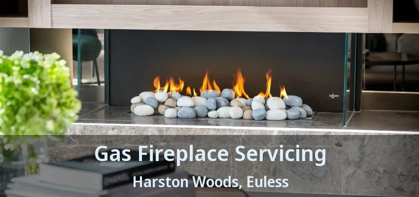 Gas Fireplace Servicing Harston Woods, Euless - TX